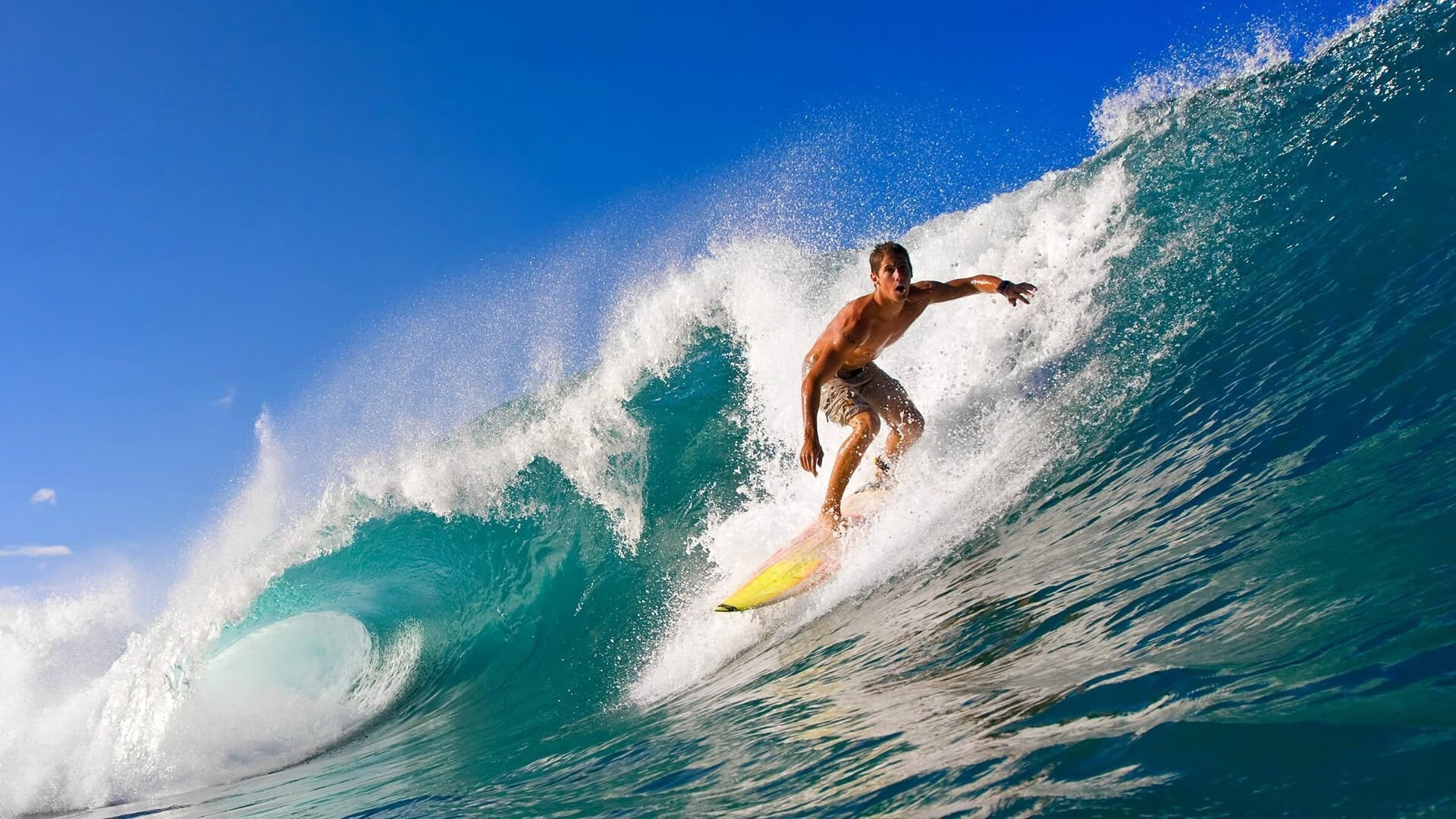 在线娱乐-明晨德甲前瞻：爱德华兹伤情更新，波士顿凯尔特人冲击连胜纪录  第1张